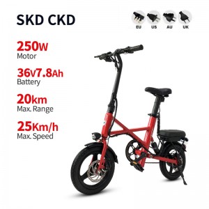 Electric Bike X1 250W 36V 7.8Ah 25kmh images01