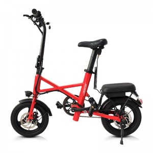 Electric Bike X1 250W 36V 7.8Ah 25km/h