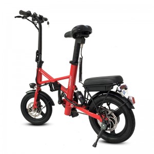 Electric Bike X1 250W 36V 7.8Ah 25km/h