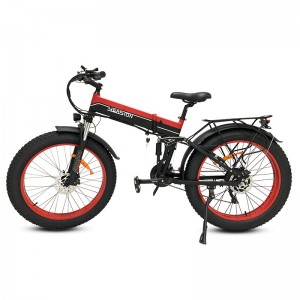 Electric Bike XGHM-52 1000W 48V 14Ah 55km/h