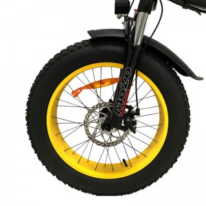 Electric Bike XGZC-52 1000W 48V 14Ah 55km/h