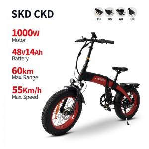 Electric Bike YB-52 1000W 48V 14Ah 55km/h