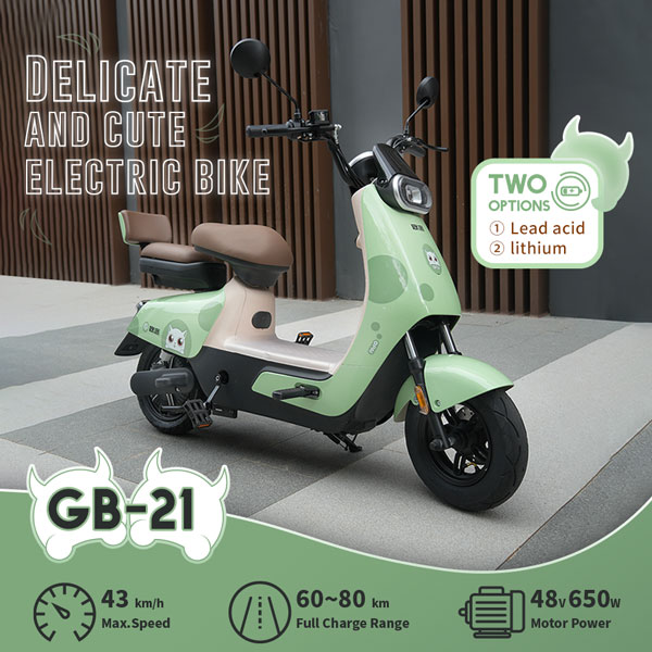 Electric Moped Bicycle Bike Scooter 650W 48V 2024Ah 43KmH Range 60-80Km (Model GB-21) news7.31