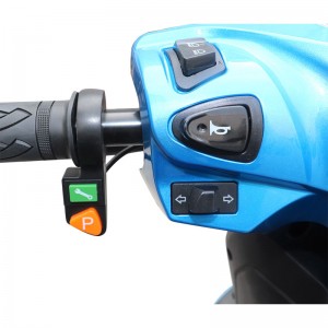 Electric Moped CS 1000W-2000W 60V30Ah/72V20Ah 45km/h (EEC)