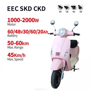 Electric Moped LMYG 1000W-2000W 60V30Ah/48V60Ah/60V20Ah 45km/h (EEC)