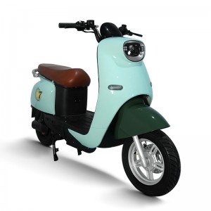 Electric Moped S600 650W 48V/60V/72V 20Ah 45km/h