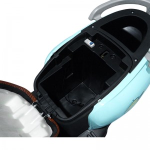 Electric Moped S600 650W 48V/60V/72V 20Ah 45km/h