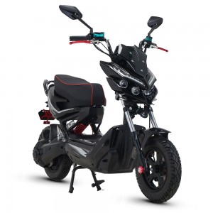 Electric Moped XZJ 1000W-1500W 72V 32Ah/100Ah 45km/h