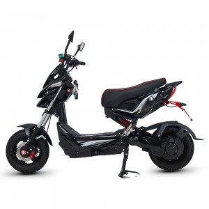 Electric Moped XZJ 1000W-1500W 72V 32Ah/100Ah 45km/h