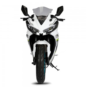 Electric Motorcycle RZ-8 3000W-10000W 72V 40Ah/150Ah 100km/h