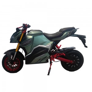 Electric Motorcycle V15 1500W-3000W 72V 32Ah/150Ah 65km/h