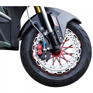 Electric Motorcycle V15 1500W-3000W 72V 32Ah/150Ah 65km/h