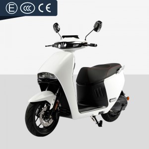 Electric Moped Motorcycle Scooter 2000W 72V 50Ah 45km/h (EEC Certification)(Model: GOGOPLUS)