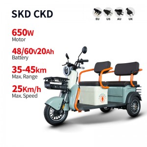 Electric Passenger Tricycle A18 650W 48V/60V 20Ah 25km/h