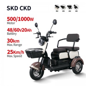 Electric Passenger Tricycle F1 Plus 500W/1000W 48V/60V 20Ah 25km/h