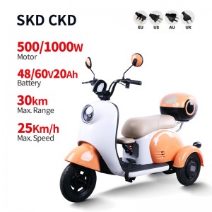 Electric Passenger Tricycle GK2 500W/1000W 48V/60V 20Ah 25km/h