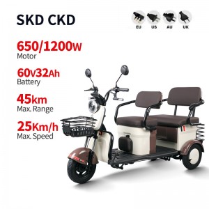 Electric Passenger Tricycle H3 Plus 650W/1200W 60V 32Ah 25km/h