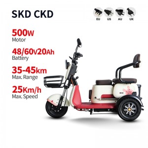 Electric Passenger Tricycle T3 500W 48V/60V 20Ah 25km/h