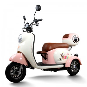 Electric Passenger Tricycle V1-1-1 500W 48V/60V 20Ah 25km/h