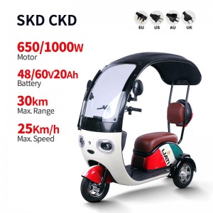 Electric Passenger Tricycle V1-1 650W/1000W 48V/60V 20Ah 25km/h