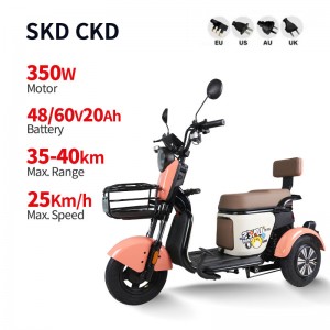 Electric Passenger Tricycle V3 350W 48V/60V 20Ah 25km/h