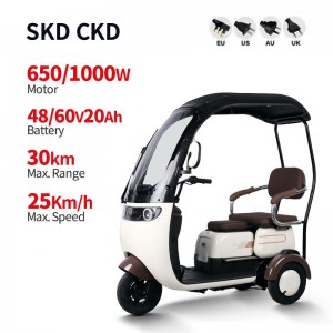 Electric Passenger Tricycle V5-1 650W/1000W 48V/60V 20Ah 25km/h