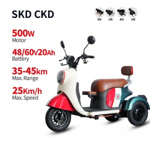 Electric Passenger Tricycle V5 500W 48V/60V 20Ah 25km/h