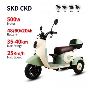 Electric Passenger Tricycle V6 500W 48V/60V 20Ah 25km/h