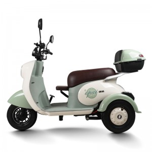 Electric Passenger Tricycle V6 500W 48V/60V 20Ah 25km/h