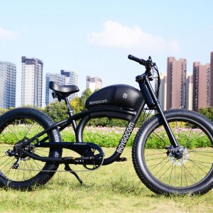 FY 500W-1000W 48V 15Ah-25Ah 50Km/H Lithium Battery Electric Bike