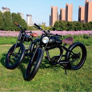 FY 500W-1000W 48V 15Ah-25Ah 50Km/H Lithium Battery Electric Bike