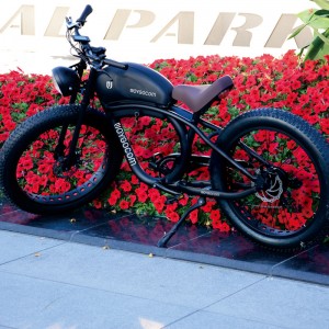 FY 500W-1000W 48V 15Ah-25Ah 50Km/H Lithium Battery Electric Bike