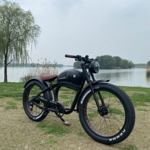 FY 500W-1000W 48V 15Ah-25Ah 50Km/H Lithium Battery Electric Bike