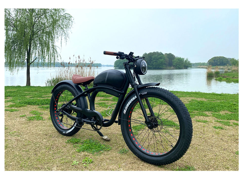 FY 500W-1000W 48V 15Ah-25Ah 50KmH Lithium Battery Electric Bike Detail15