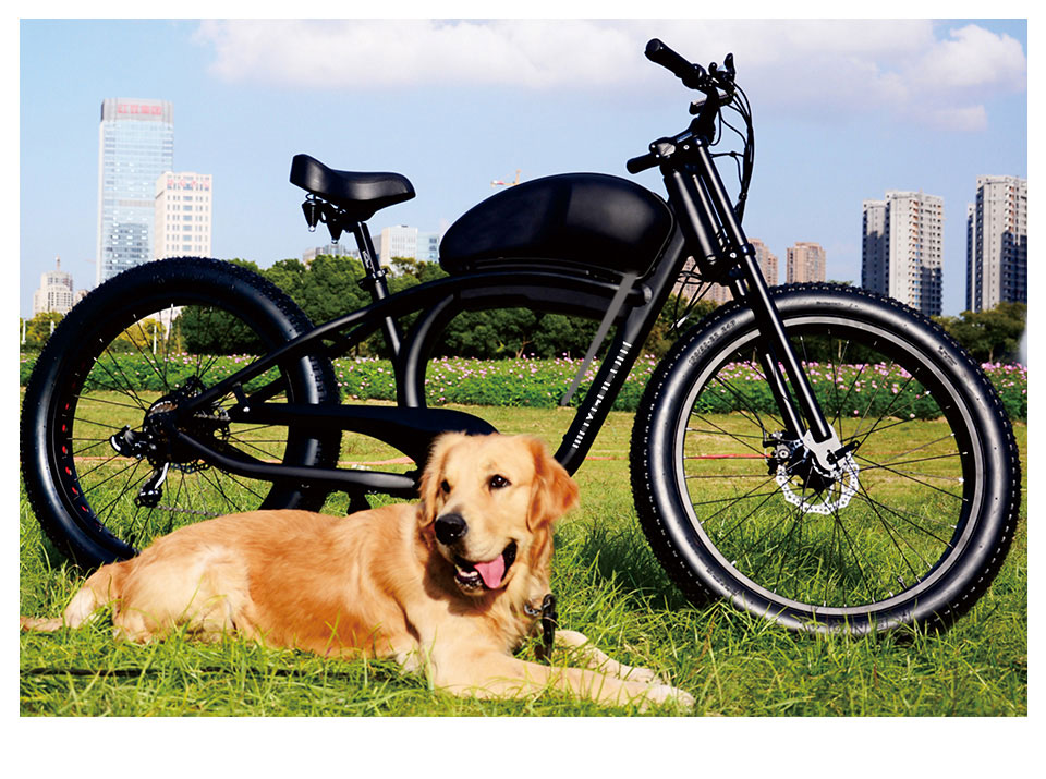 FY 500W-1000W 48V 15Ah-25Ah 50KmH Lithium Battery Electric Bike Detail17