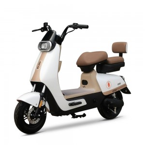 Electric Moped Bicycle Bike Scooter 650W 48V 20/24Ah 43Km/H Range 60-80Km (Model: GB-21)