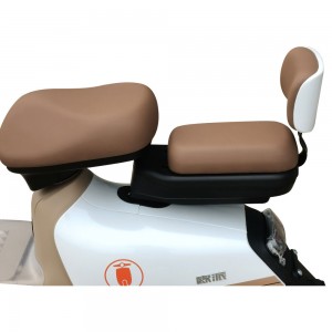 Electric Moped Bicycle Bike Scooter 650W 48V 20/24Ah 43Km/H Range 60-80Km (Model: GB-21)