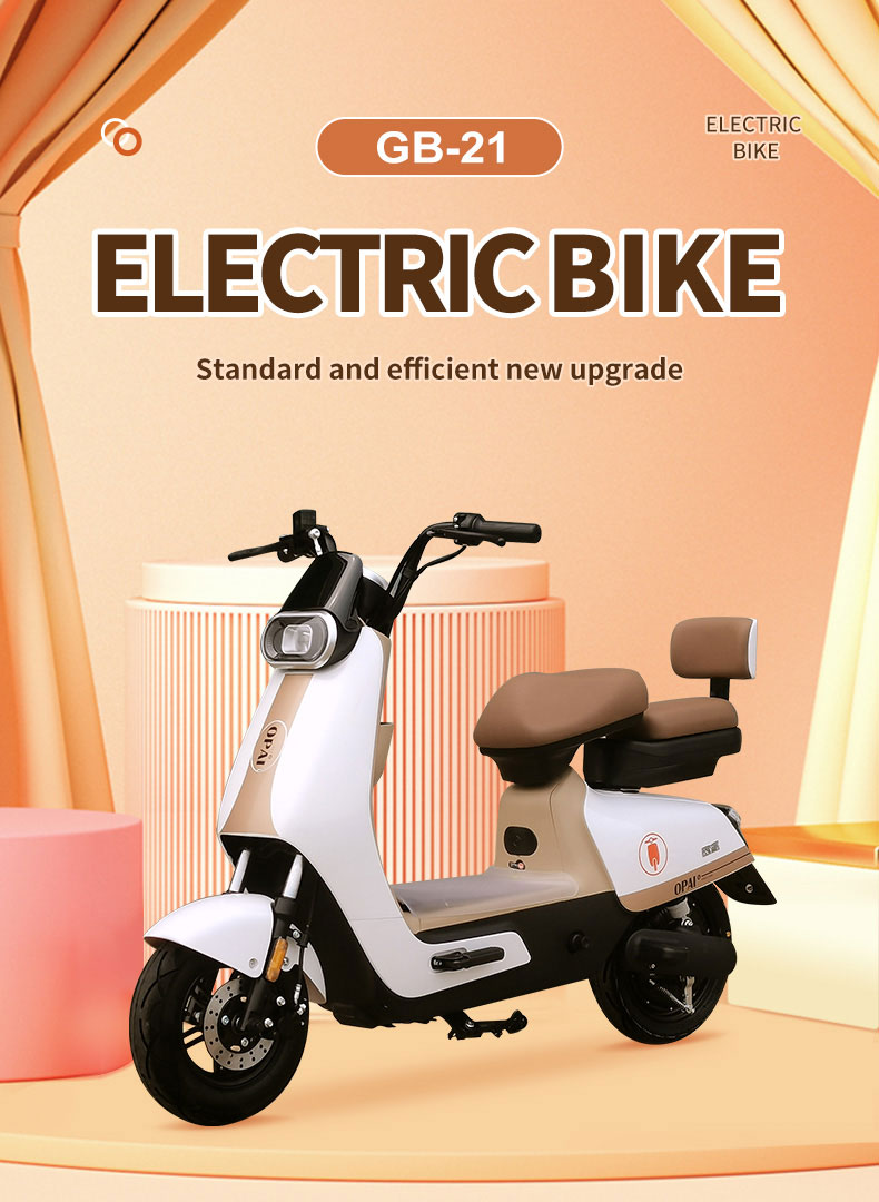 GB-21 650W 48V 20 24Ah 43KmH Range 60-80Km Electric Bikes Detail01