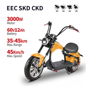 Harley Electric Motorcycle CP4 3000W 60V 12Ah 45km/h (EEC)