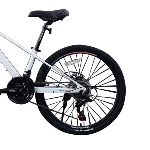 High Quality 24 Inch 21 Speed Adult Bicycle Mountain Bike