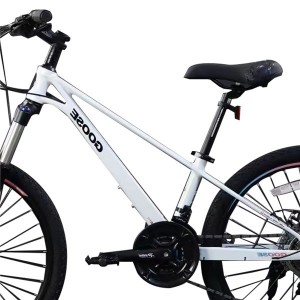 High Quality 24 Inch 21 Speed Adult Bicycle Mountain Bike