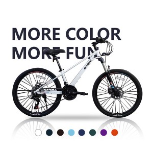 High Quality 24 Inch 21 Speed Adult Bicycle Mountain Bike