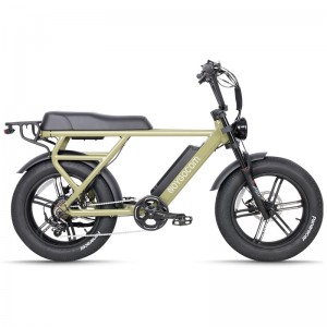 JG-TDN30Z 500W 48V 12.8Ah 32Km/H Lithium Battery Electric Bike