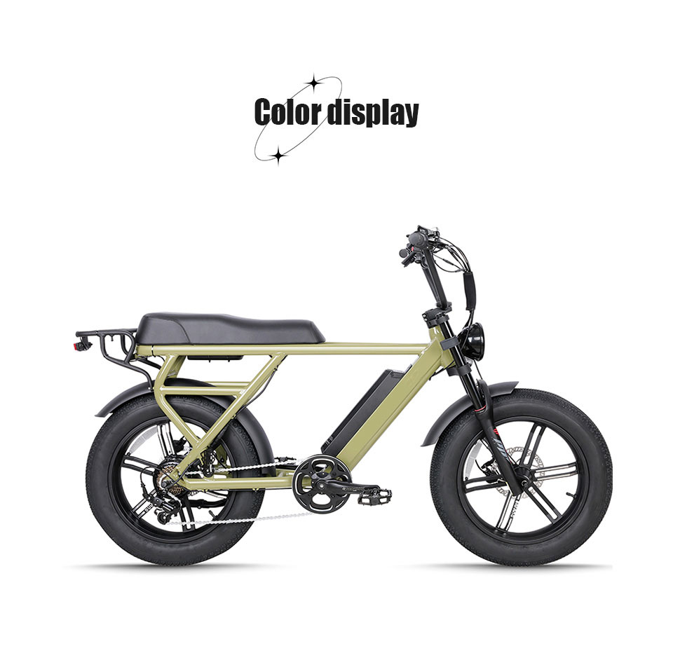 JG-TDN30Z 500W 48V 12.8Ah 32KmH Lithium Battery Electric Bike Detail13