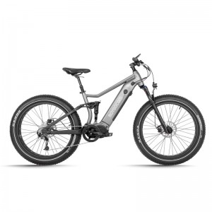 JG-TR01 750W 48V 12.8Ah/17.5Ah 45Km/H Lithium Battery Electric Bike