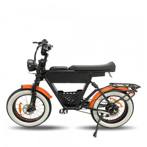 Optional 500W 750W 1000W 20inch 48V 35Ah Lithium Battery EBike