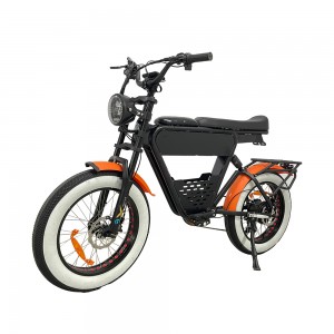 Optional 500W 750W 1000W 20inch 48V 35Ah Lithium Battery EBike