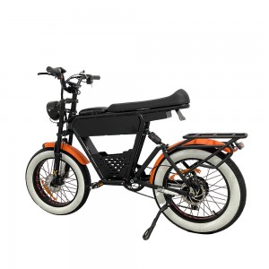 Optional 500W 750W 1000W 20inch 48V 35Ah Lithium Battery EBike