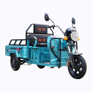 Three Wheels 200kg Capacity Electric Cargo Tricycles for Adults