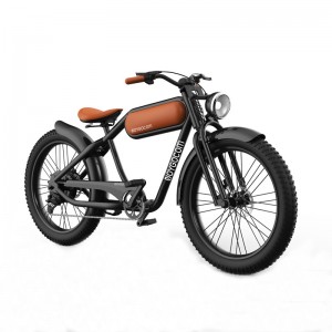 XY 500W-1000W 48V 15Ah 50Km/H Lithium Battery Electric Bike